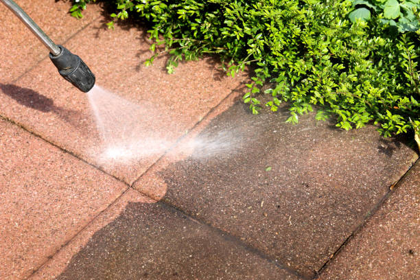 Best Roof Pressure Washing  in , MS